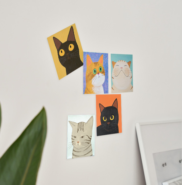 고양이 강아지 그림 엽서