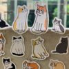 귀여운 고양이 스티커